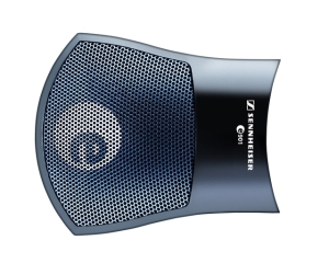 SENNHEISER E901
