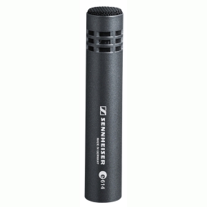 SENNHEISER E614